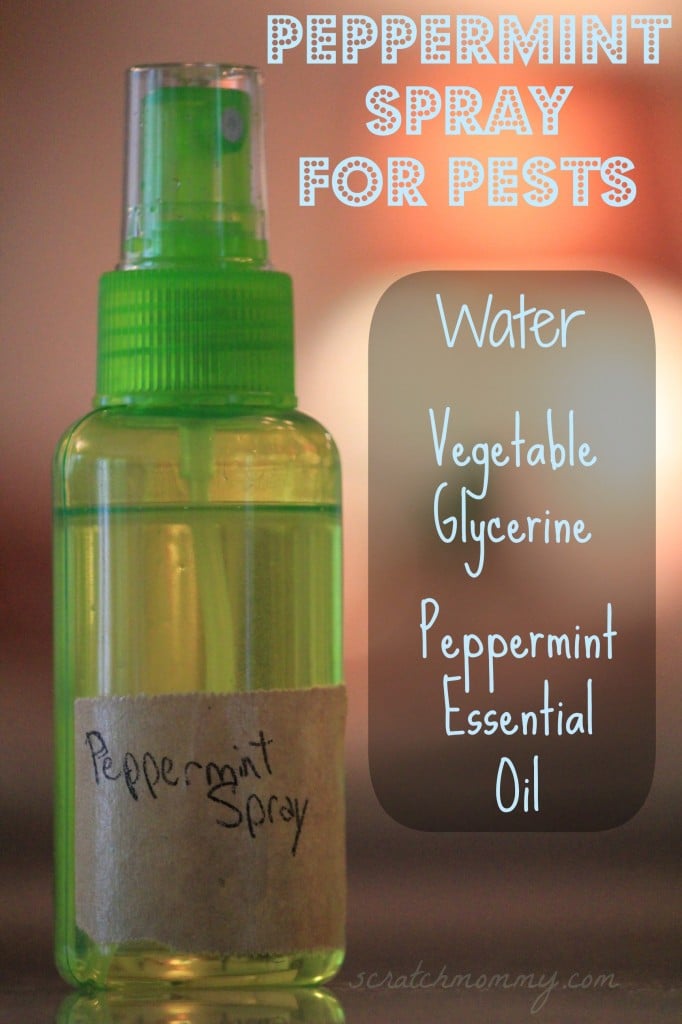 Natural (& easy!) Remedy For Pests - Keep those buggers out of your home...naturally! #nontoxic