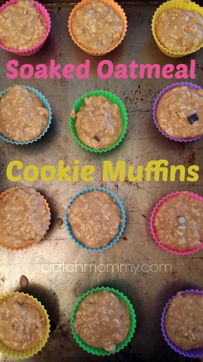 Soaked Oatmeal Cookie Muffins - A Healthier Option For You & The Kiddos!