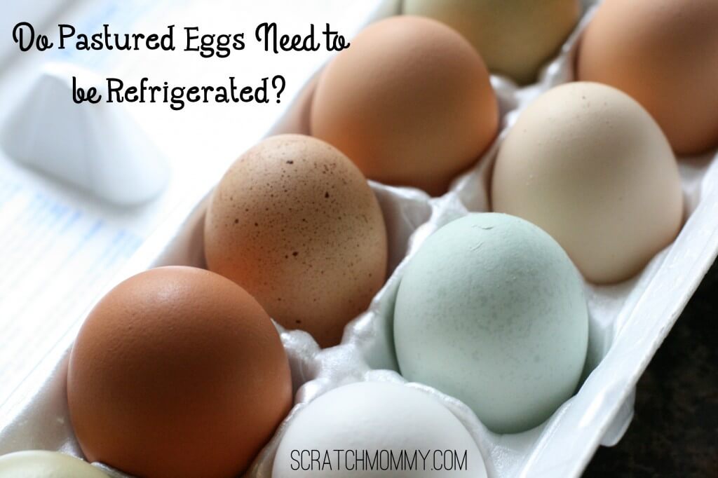 Do pastured eggs need to be refrigerated? The answer may surprise you!