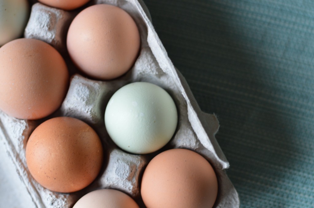 Debunking egg labels can seem a bit daunting and confusing. In this post, egg terms are dissected so you know exactly what you are getting and can feel good about it.