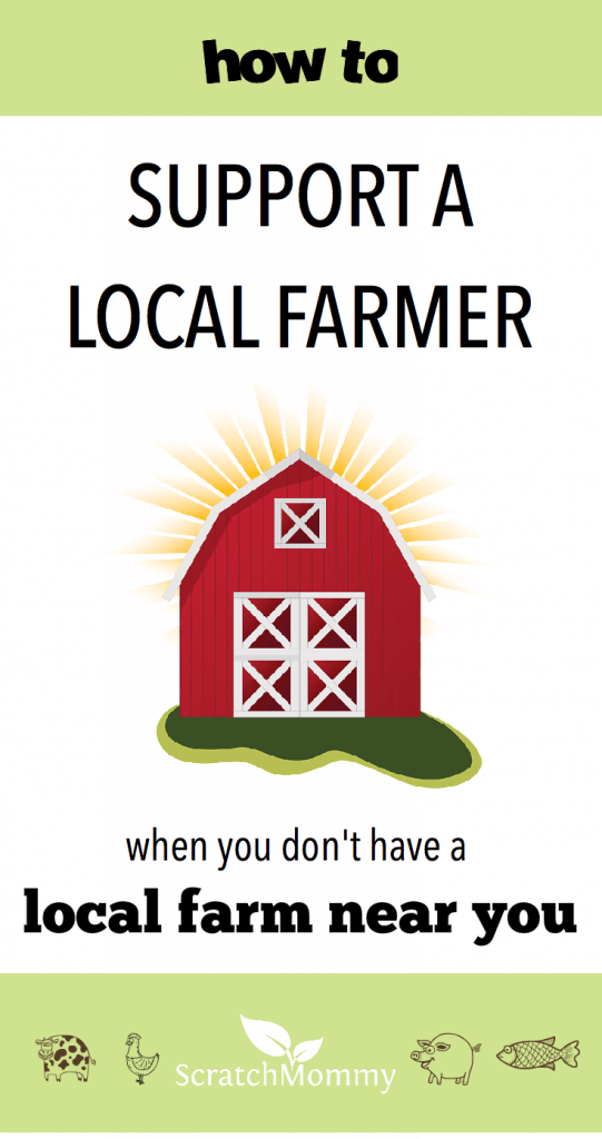 how-to-support-a-local-farmer-when-you-dont-have-a-local-farm-near-you-scratch-mommy