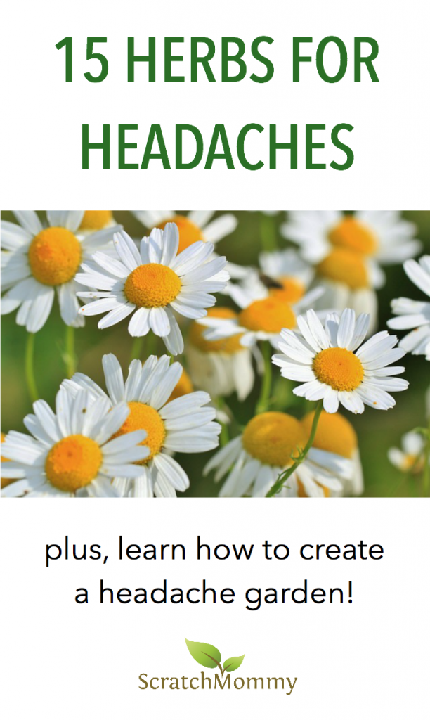 If you're suffering from bad headaches and are looking a natural solution, you'll want to check out this post on 15 herbs for headaches. You may even be inspired to grow your own headache garden!