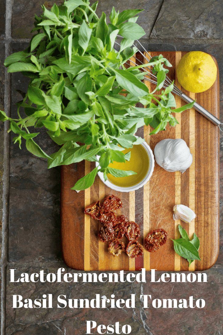 Lactofermented Lemon Basil Sundried Tomato Pesto Recipe