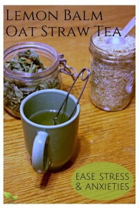 Lemon Balm Oat Straw Tea (ease stress and anxieties naturally with these beautiful, healing herbs) - Scratch Mommy