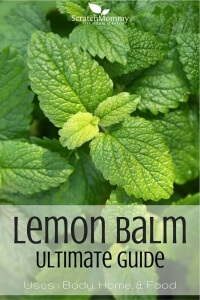 Lemon Balm Ultimate Guide! Uses for body, home, and for food. - by Scratch Mommy