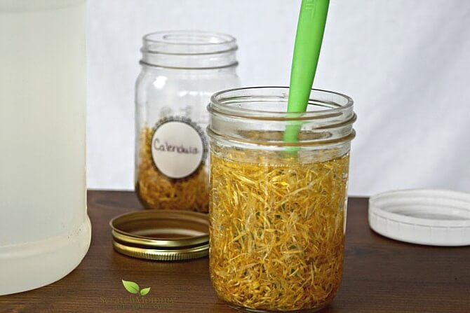 Herbal Infused Glycerin- Scratch Mommy