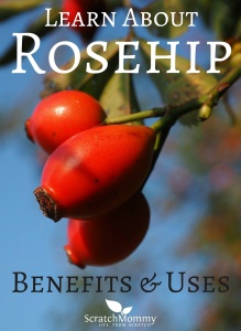 Come learn about rosehip benefits and uses (and why you need them in your life)!- Scratch Mommy
