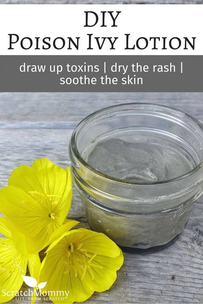 DIY Poison Ivy Lotion Recipe (draw out toxins, dry up the rash, and soothe the skin)- Scratch Mommy