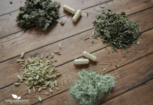 Check Out Our 9 Herbs That Benefit Breastfeeding - Scratch Mommy