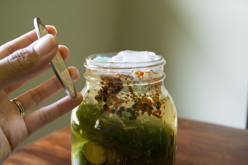 fermented-pickles-burping