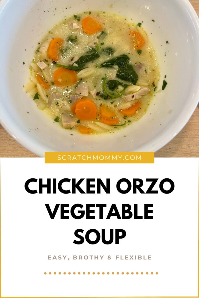 Overhead view of chicken orzo vegetable soup for Pinterest Pin.