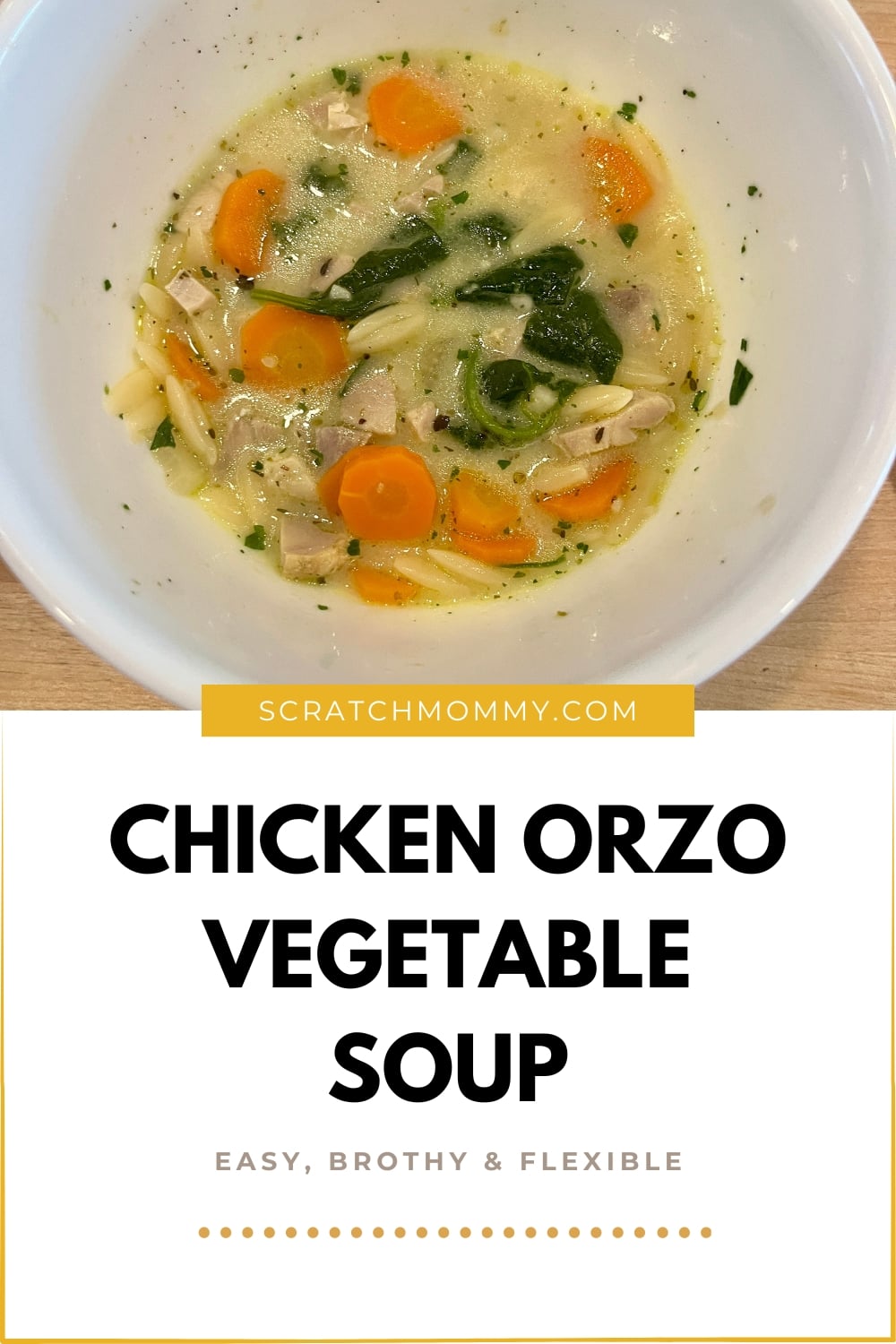 Overhead view of chicken orzo vegetable soup for Pinterest Pin.